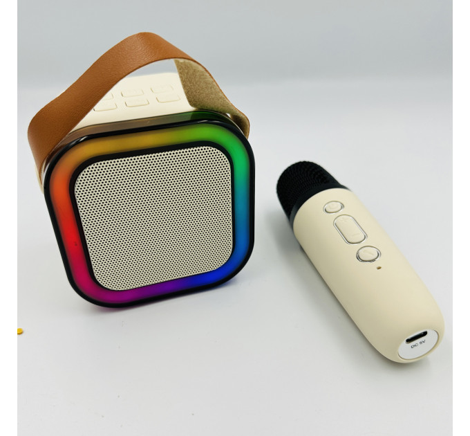 Портативная караоке система с микрофоном, Bluetooth