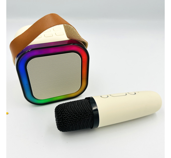 Портативная караоке система с микрофоном, Bluetooth