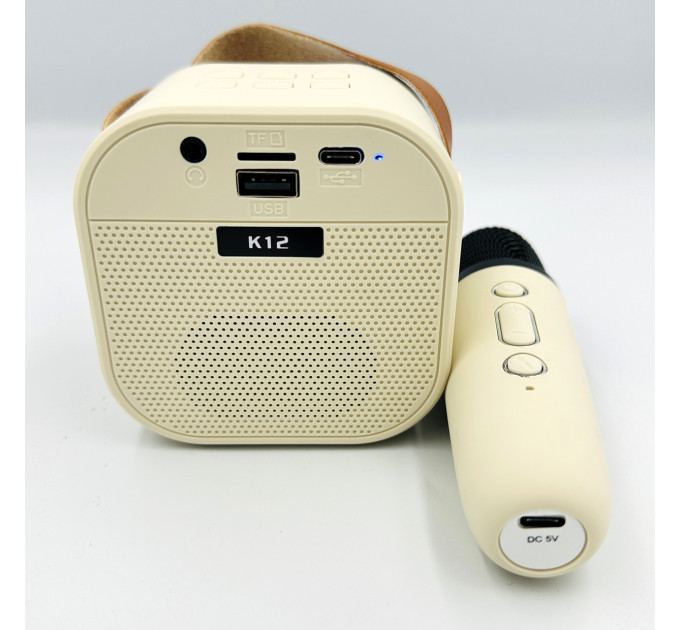 Портативная караоке система с микрофоном, Bluetooth