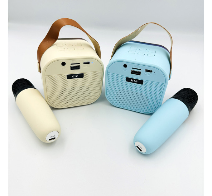 Портативная караоке система с микрофоном, Bluetooth