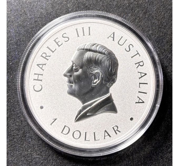 Серебряная монета Кукабарра 1oz 1$ 2024 Австралия