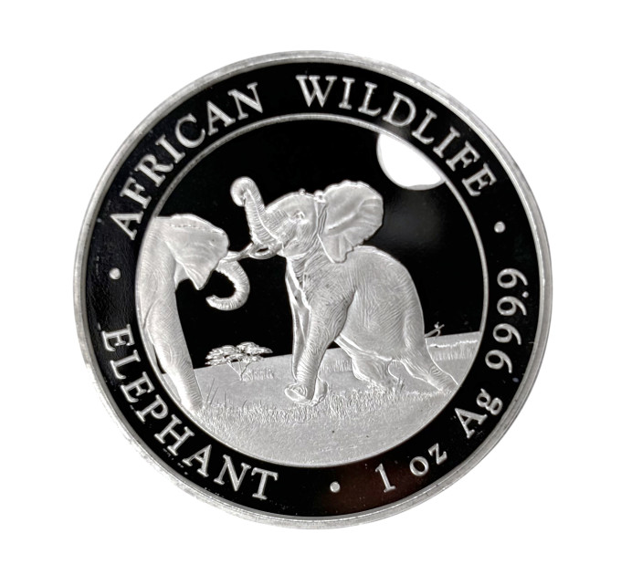 Серебряная монета Сомалийский слон 1oz 100 SOS 2024