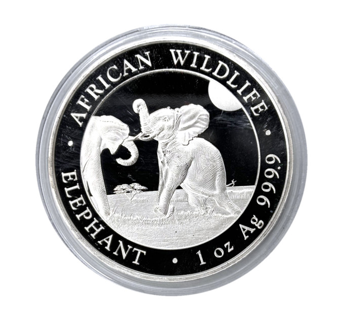 Серебряная монета Сомалийский слон 1oz 100 SOS 2024