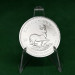 Серебряная монета 1 Ранд Крюгерранд 1oz 2025 Южная Африка