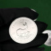 Серебряная монета 1 Ранд Крюгерранд 1oz 2025 Южная Африка