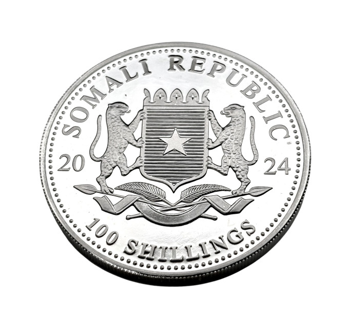 Инвестиционная серебряная монета S100 African Leopard 1oz 2024 Сомали
