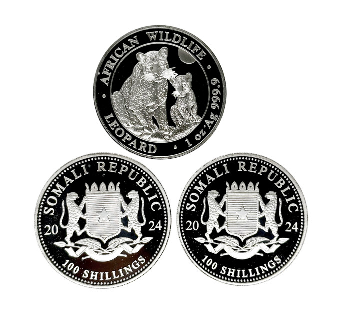 Инвестиционная серебряная монета S100 African Leopard 1oz 2024 Сомали
