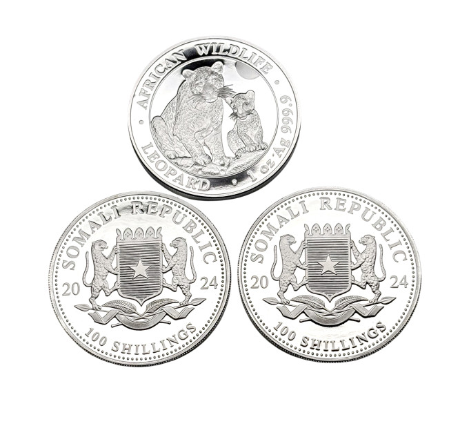 Инвестиционная серебряная монета S100 African Leopard 1oz 2024 Сомали