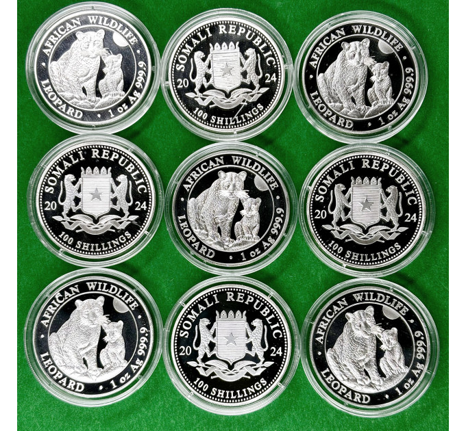 Инвестиционная серебряная монета S100 African Leopard 1oz 2024 Сомали