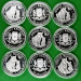 Инвестиционная серебряная монета S100 African Leopard 1oz 2024 Сомали