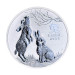 Серебряная монета 1 oz Год Кролика 2023 Australia Perth Mint Lunar III