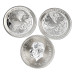 Серебряная монета 2$ Silver Phoenix 1 oz 2024 Ниуэ — коллекционный выпуск
