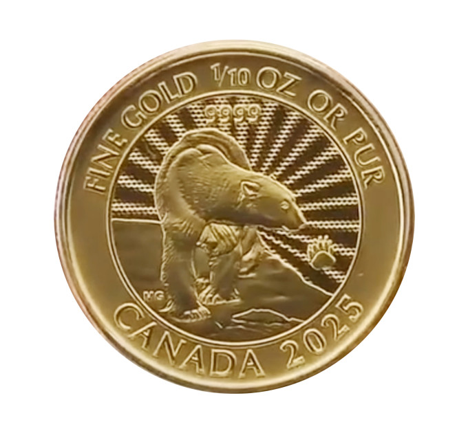 Золотая монета Канада 1/10 oz 2025 Белый медведь, золото 9999