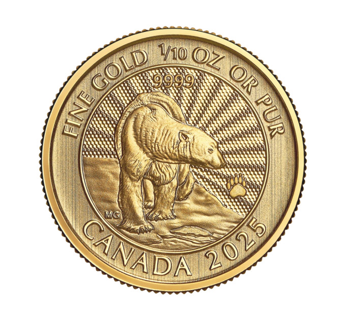 Золотая монета Канада 1/10 oz 2025 Белый медведь, золото 9999