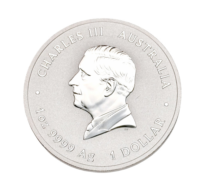 Цветная серебряная монета 1 $ «Год Змеи» 1 oz 2025 Австралия