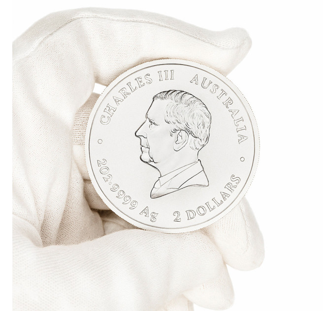 Цветная серебряная монета 2$ «Год Змеи» 2 oz 2025 Австралия