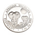 Серебряная монета 100 шиллингов «Африканский слон» 1 oz 2014 Сомали
