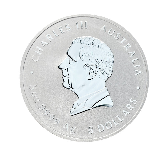Цветная серебряная монета 8$ Год Змеи 5 oz 2025 Австралия