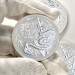 Серебряная монета RAM 2025 Year of the Snake 1 oz – коллекционная
