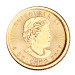 Золотая монета 5 $ «Кленовый лист» 1/10 oz 2017 Канада
